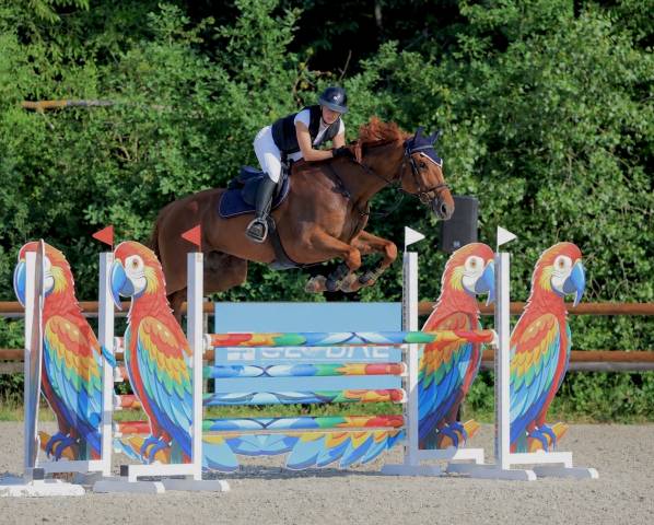 Cheval cso