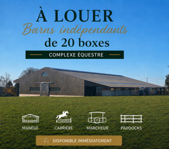 Location barns indépendant de 20 boxes – romagny (50)