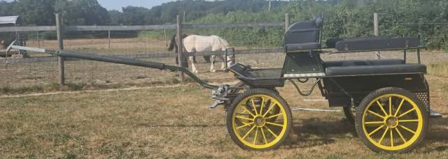 Voiture d'attelage ginwoski 6 places – freins à disque 