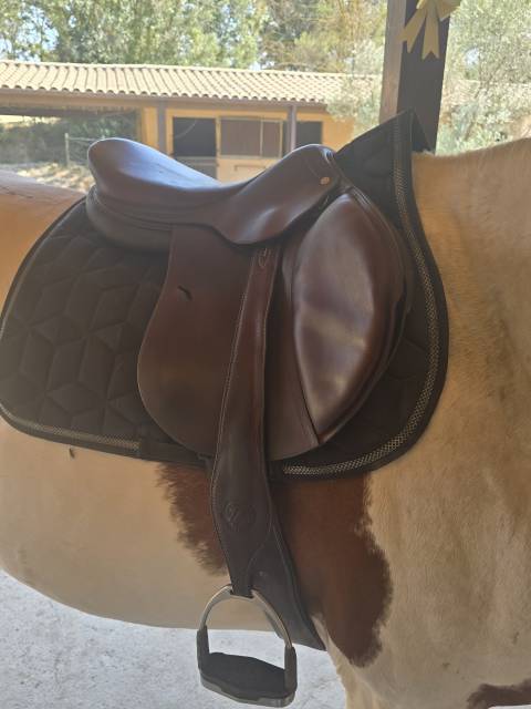 Selle antares 17,5