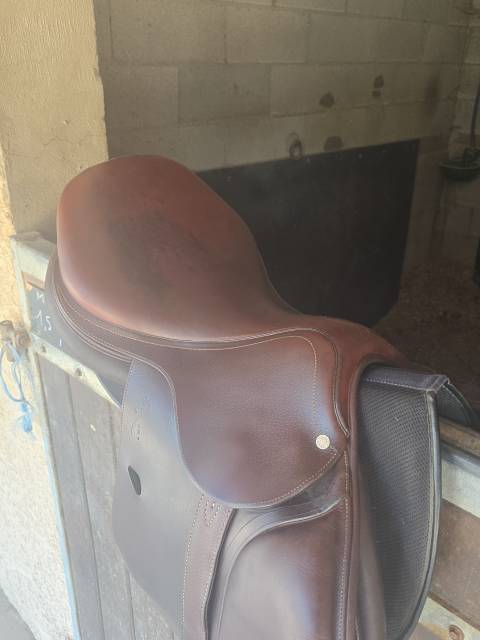 Selle antares 17,5