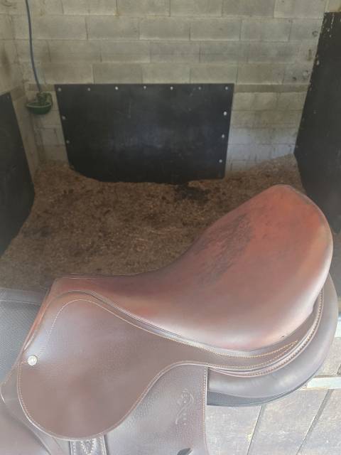 Selle antares 17,5