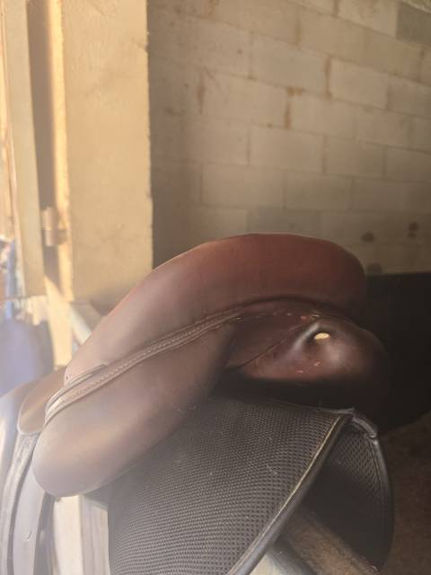 Selle antares 17,5