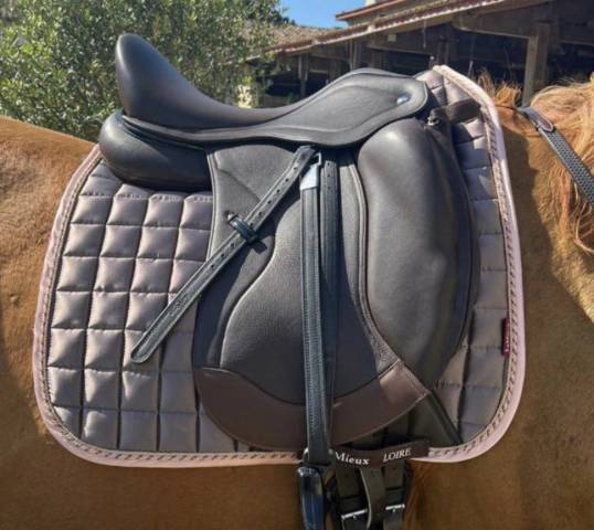 Selle dressage ikonic light