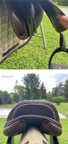Selle prestige golden star 