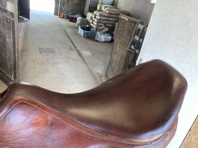 Selle dressage Belloir 