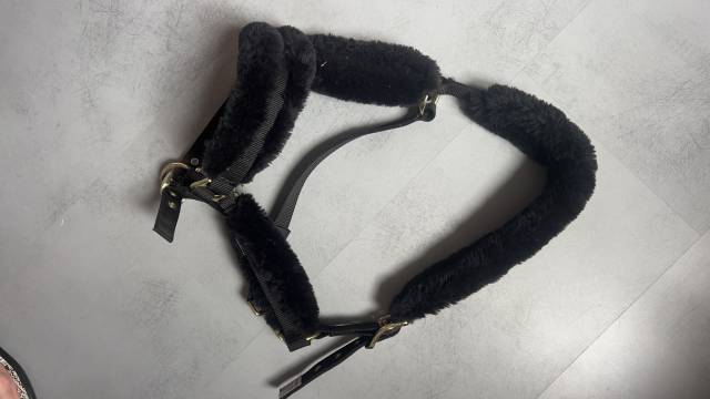 Licol noir faux mouton 