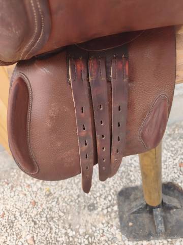 Selle 17'5 tattini 