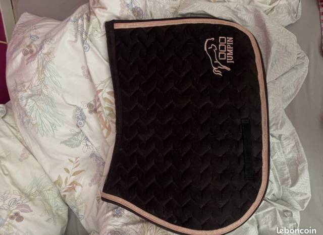 Lots 3tapis + un licol prix abordable urgent 