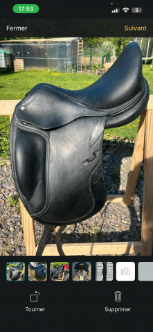 Selle cwd de dressage