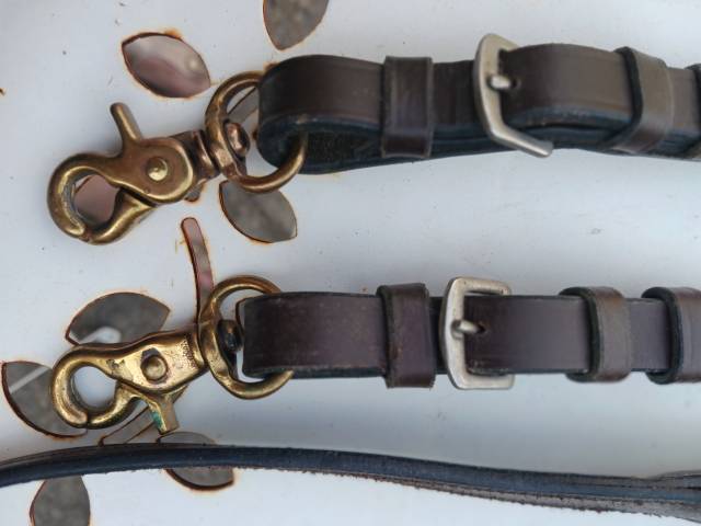 R&ecirc;nes cheval