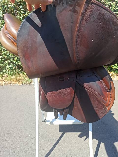 Selle Cwd SE01