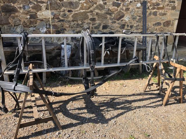 harnais double chevaux lourds