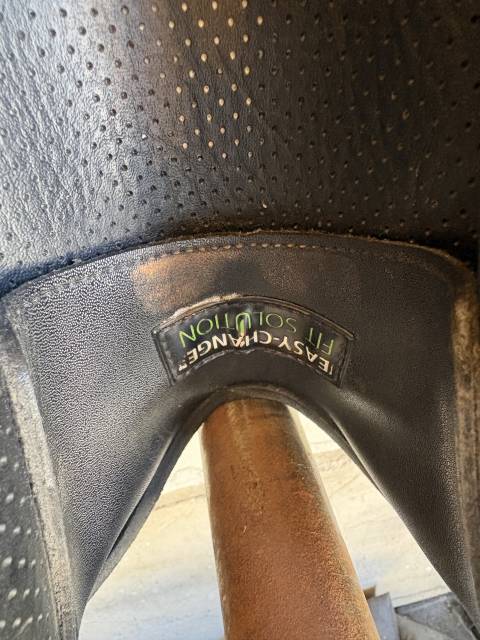 Selle &eacute;quitation 