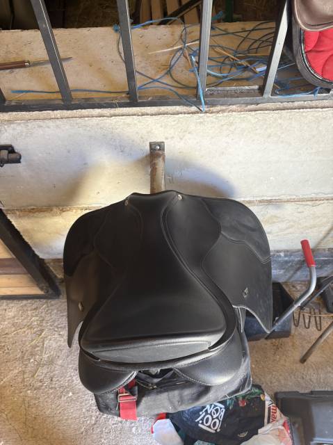 Selle &eacute;quitation 