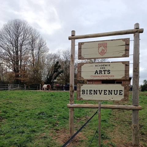 Recrutement stagiaires en milieu hippique (cap-bac-bp)