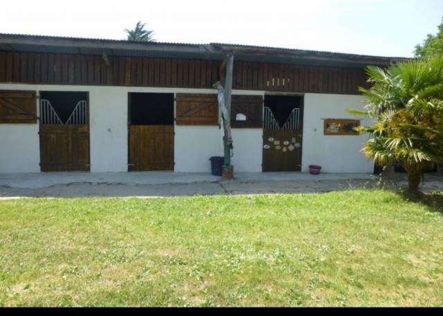 Pensions chevaux avec installations