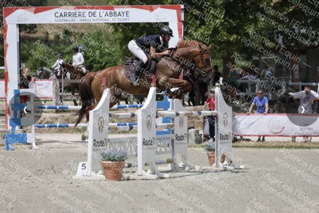 Hongre 6ans kannan x le tot de semilly