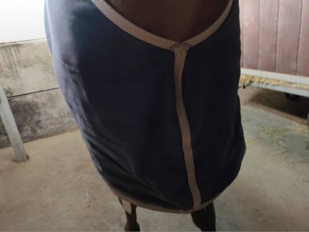 Couverture d'&eacute;curie PullOver 50gr T155