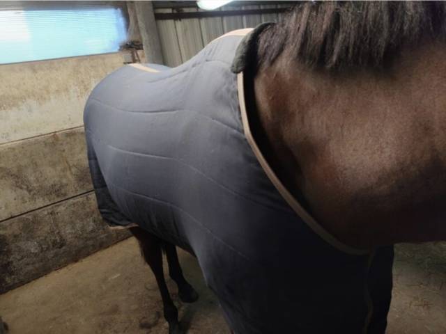 Couverture d'&eacute;curie PullOver 50gr T155