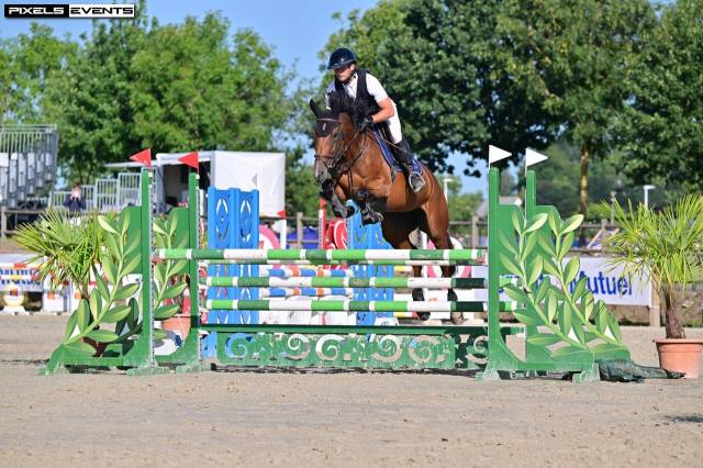 Jument 5 ans idéale amateur 1 / élite