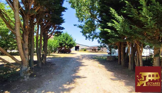 Propriété équestre 2,3 hectares