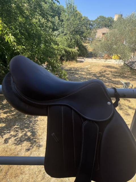 Selle S&eacute;oul forestier 