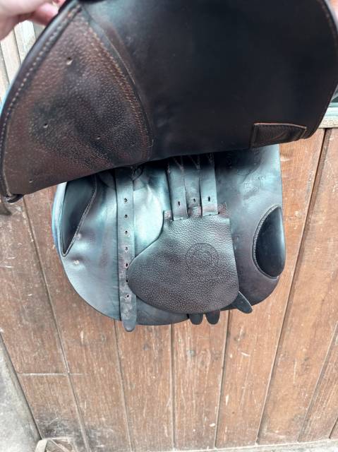 Selle childeric 2021