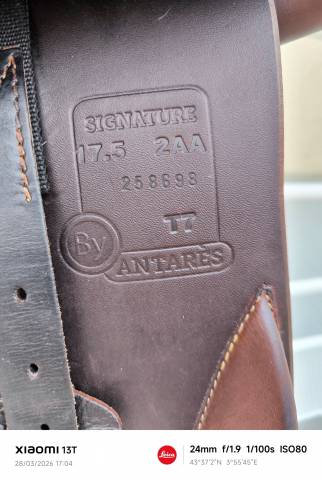 selle Antares Signature 17,5