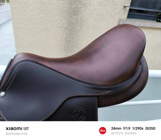 selle Antares Signature 17,5