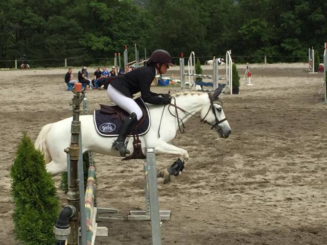 Ponette pfs 