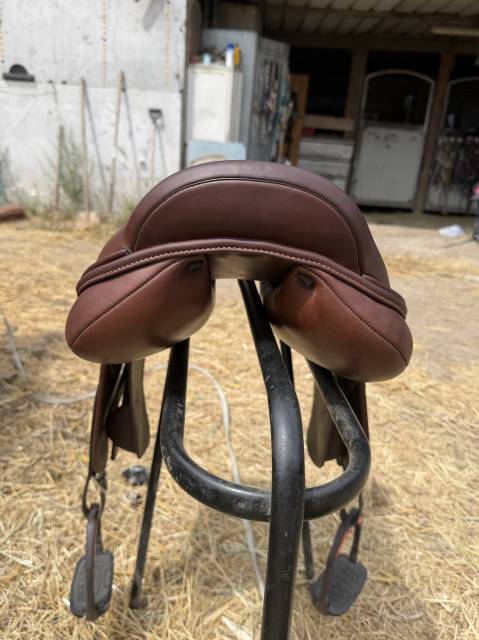 Selle acavallo Modigliani 17