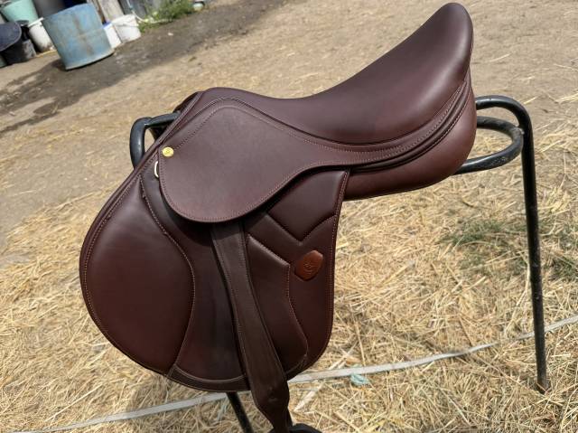 Selle acavallo Modigliani 17