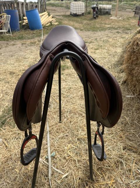 Selle acavallo Modigliani 17