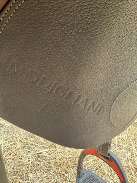 Selle acavallo Modigliani 17