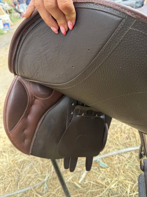 Selle acavallo Modigliani 17