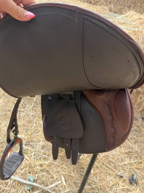 Selle acavallo Modigliani 17