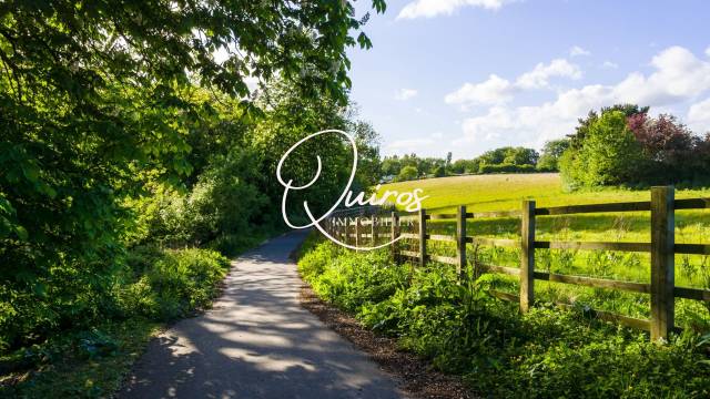 Off market  propriété avec étang  le lion-d'angers (4