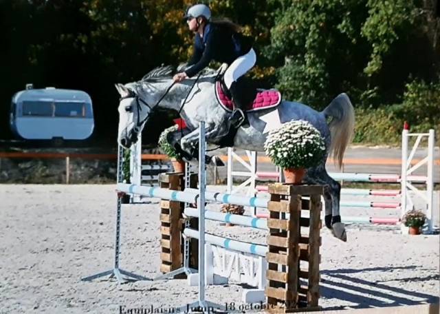 Poney sport