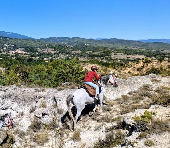 Cheval de loisir, assurance tous risques