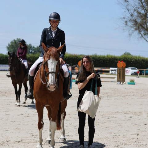 à vendre ou échange cheval d’expérience 