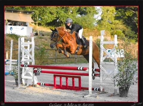 Jument par eye catcher de lourcq. ccce/cso/dressage