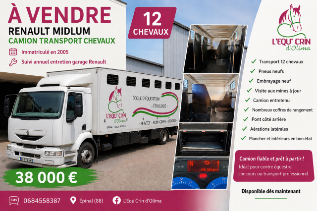 Vends camion 12 places chevaux 456763 km pneus neufs
