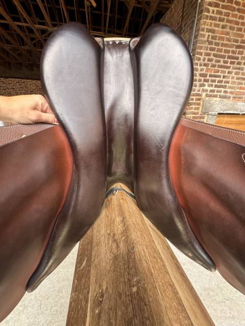 Selle Forestier S&eacute;oul &ndash; 17,5&rdquo; &mdash; Buffle 