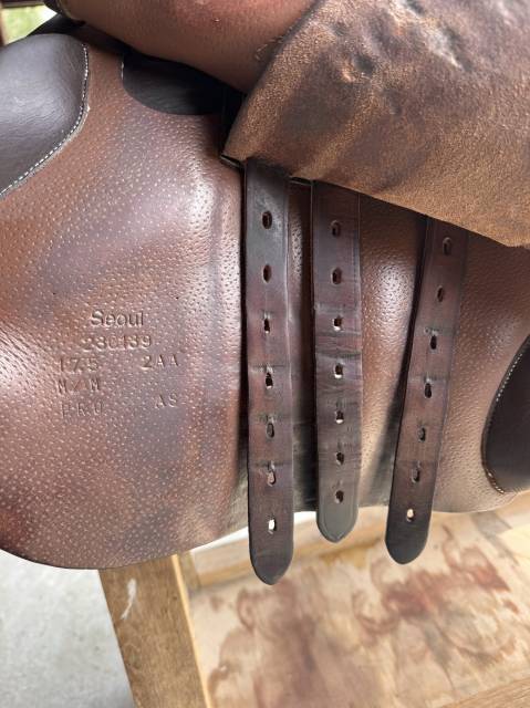 Selle Forestier S&eacute;oul &ndash; 17,5&rdquo; &mdash; Buffle 