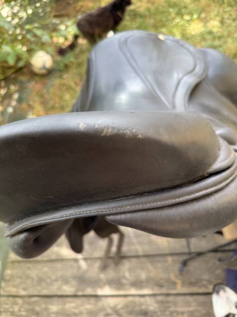 Selle de dressage