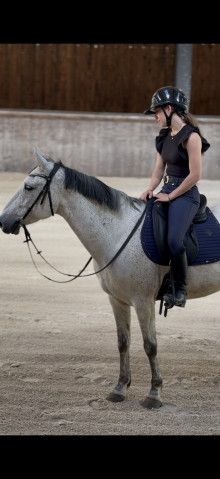 Selle de dressage