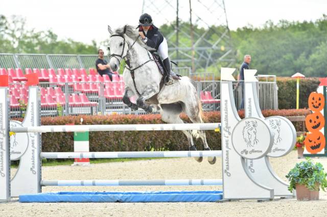 Jument zangersheide 8ans