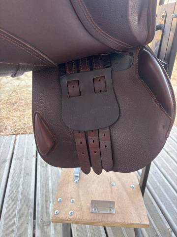 Selle Equeen Saddle