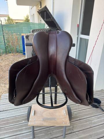 Selle Equeen Saddle